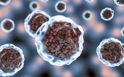 Synthesis and biological evaluation of novel aliphatic acid-conjugated antimicrobial peptides as potential agents with anti-tumor, multidrug resistance-reversing activity and enhanced stability
